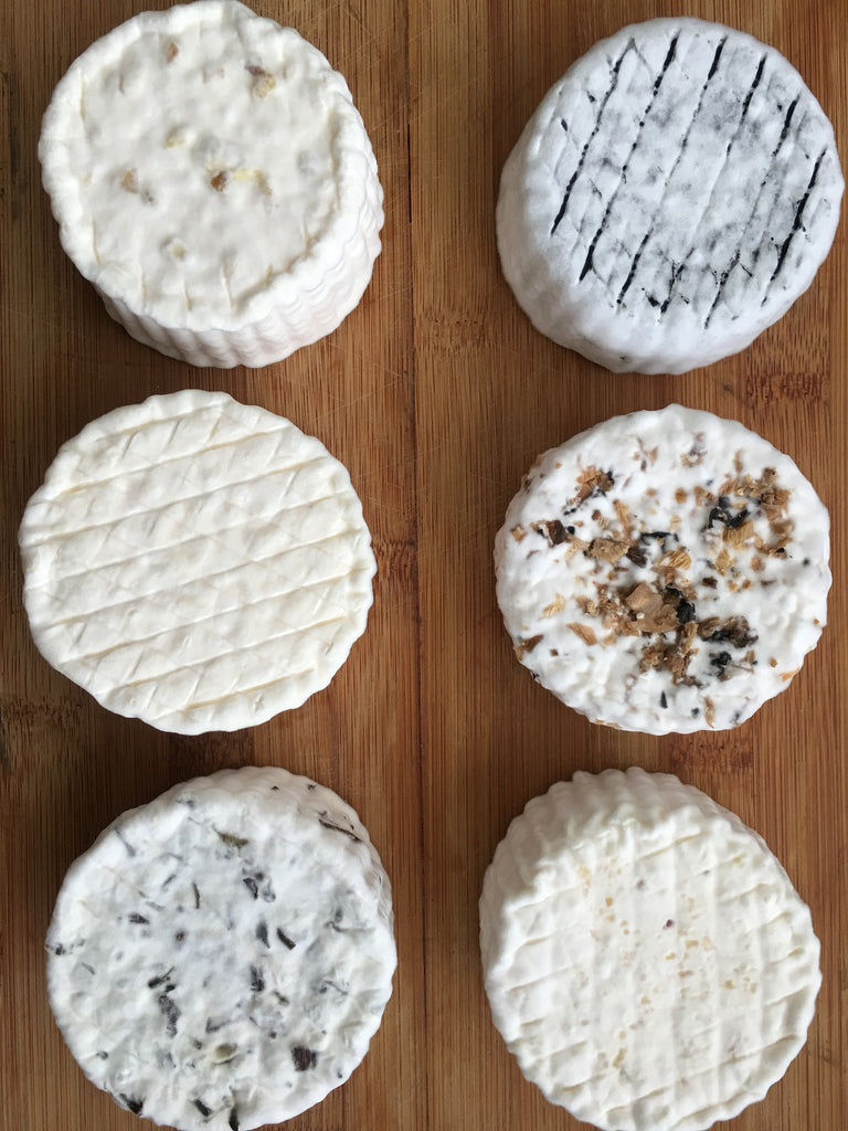 Cheesemaking Boot Camp – FARMcurious